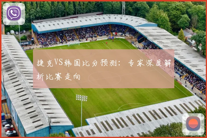 捷克VS韩国比分预测:专家深度解析比赛走向