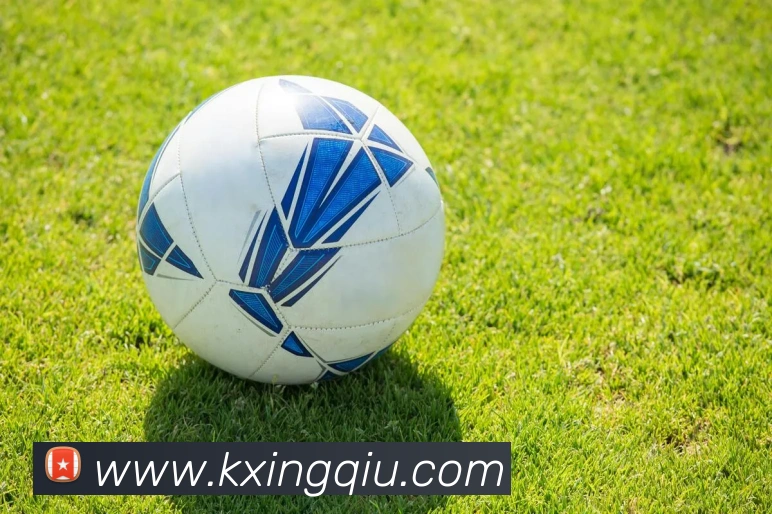 迪班萨2026战略全解析：中小企业把握五年机遇的实操指南